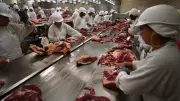 China impõe tarifa de 55% sobre carne bovina além da cota de 2,7 mi de toneladas