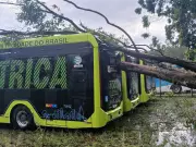 Chuva forte derruba árvores sobre ônibus e causa alagamentos em São José dos Campos