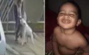 Criança de 2 anos com paralisia é atacada por pit bull em Goiânia; polícia investiga