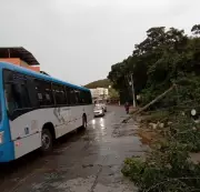 Crianças resgatadas, temporal em JF e preso autorizado a visitar filha: destaques