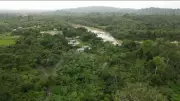 Desmatamento cai no Cerrado e Amazônia em 2025, mas desafio continua