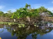 Fiscalização federal zerada: 5 anos sem combate ao plástico nos rios do Amazonas