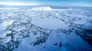 Ice Memory: Santuário na Antártica preserva amostras de geleiras ameaçadas pelo aquecimento