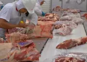 Mato Grosso tem 12 cidades entre os 100 maiores exportadores do Brasil em 2025