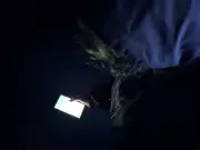 Meta, TikTok e YouTube vão a julgamento nos EUA por suposto vício em redes sociais