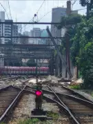 Muro cai em via da CPTM no Brás e interrompe Linha 12-Safira