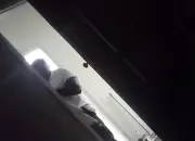 Pastor de 63 anos é investigado por estupro de vulnerável após menina de 12 anos gravá-lo se masturbando em Amparo