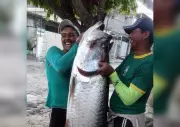 Pescador captura camurupim gigante de 2 metros e 70 kg em Bayeux, Paraíba