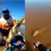 Pescador de RO cria vínculo inusitado com jacaré após resgatá-lo de anzol no rio Madeira