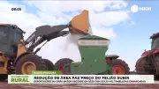 Preço do feijão-preto sobe com alta demanda e redução na área plantada