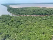 Senado vota hoje projeto que simplifica licenciamento ambiental e preocupa especialistas