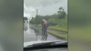 Suíno ciclista: homem carrega porco vivo nas costas em Criciúma