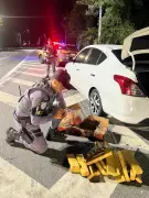 Suspeito é preso com 20 kg de maconha na Rodovia dos Tamoios, destino Caraguatatuba