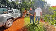 Tamanduá-bandeira de 40 kg é solto após resgate de 10 horas em Piracicaba