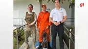 Thor, o novo cão policial especializado em detecção de restos mortais, chega ao Piauí
