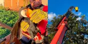 Tucano preso em linha de pipa é resgatado por bombeiros em Assis, SP