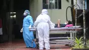 Vírus Nipah: Infectologista afirma que risco de pandemia é baixo apesar de alta mortalidade