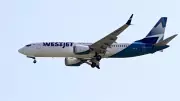 WestJet anuncia voos diretos entre Calgary e São Paulo a partir de novembro