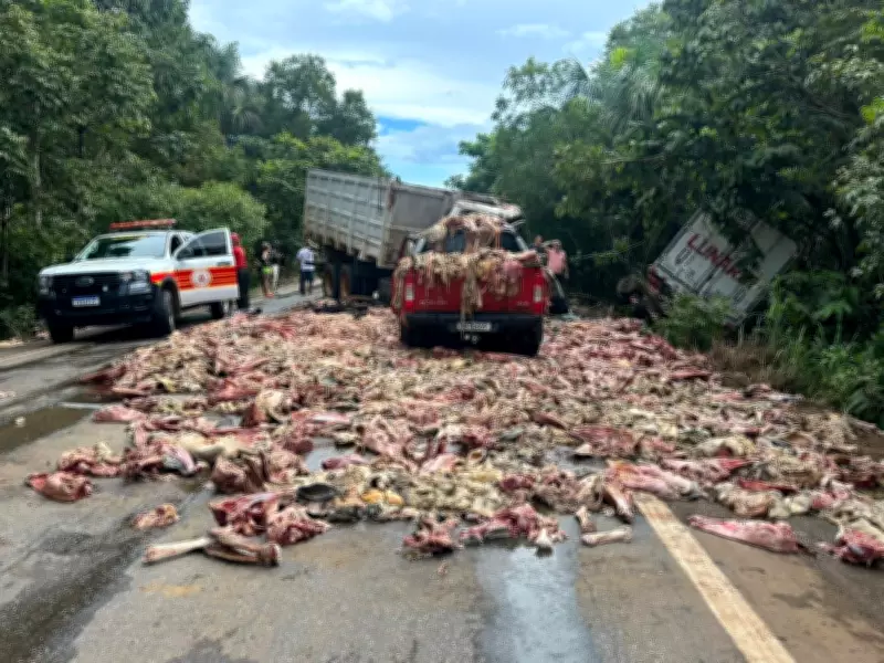 Acidente com caminhão de carne deixa motorista grave e espalha restos na BR-010
