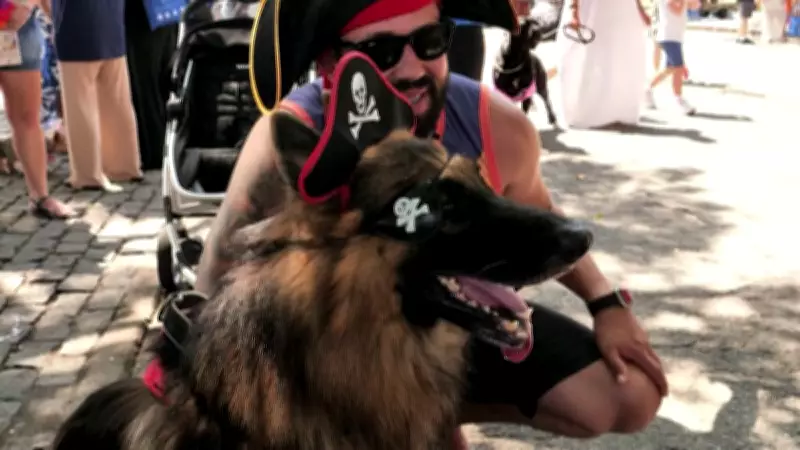Blocão do Totó reúne cães e tutores em evento especial no Rio de Janeiro