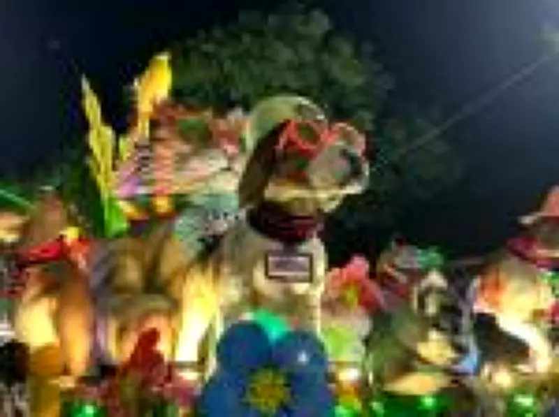 Mocidade homenageia cão Orelha em desfile carnavalesco dedicado a Rita Lee