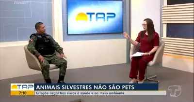 Animais silvestres não são pets: criação ilegal traz riscos à saúde e ao meio ambiente