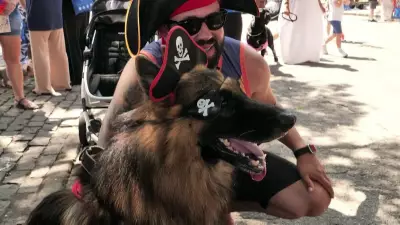 Blocão do Totó reúne cães e tutores em evento especial no Rio de Janeiro