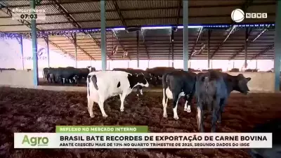 Brasil atinge marcas históricas na exportação de carne bovina com alta de 13% no abate