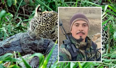 Brasileiro vive entre predadores nas Américas e 'conversa' com onças em jornada selvagem