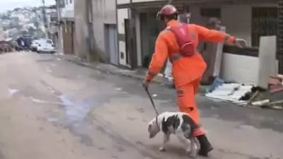 Buscas por desaparecidos em MG entram no terceiro dia após chuvas que deixaram 58 mortos