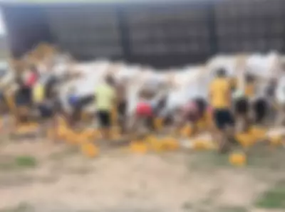 Caminhão com 7,3 mil cervejas tomba e é saqueado na BR-101 no Rio Grande do Norte