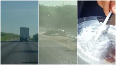 Caminhoneiro sob efeito de cocaína atropela policial e é preso após fuga na BR-116