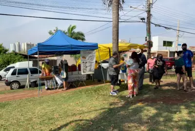 Campo Grande realiza ação de adoção de cães resgatados de maus-tratos neste domingo