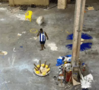 Carnavalesco da Portela pede demissão após desfile caótico e ataques à filha