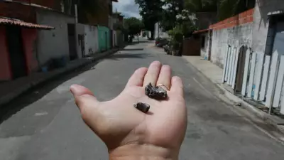 Ceará registra maior redução de homicídios em janeiro desde 2009, com queda de 29%