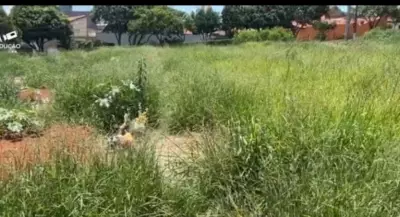 Cemitério de Limeira em situação de abandono gera revolta entre moradores