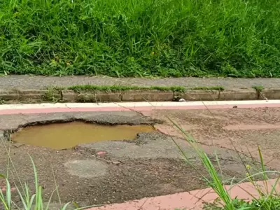 Ciclistas de Campinas enfrentam poças, desníveis e mato alto em ciclovias deterioradas