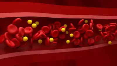 Colesterol HDL: o 'bom' que combate inflamação e protege o coração