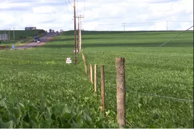 Concessionária instala cercas em propriedades rurais de Londrina para delimitar faixa de domínio