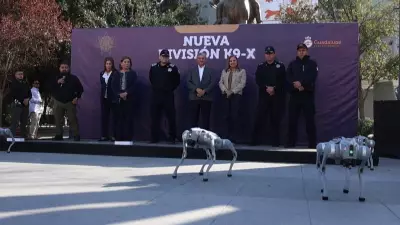 Copa do Mundo 2026: Cachorros-robôs reforçam segurança em estádio no México