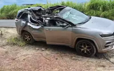 Criança de 1 ano morre após eucalipto cair sobre carro na MG-444, em Capetinga