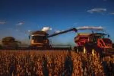 Crowdfunding da GCB Investimentos dispara 86% em 2025, impulsionado por agronegócio e imóveis