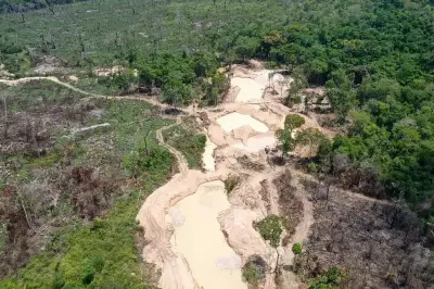Desmatamento na Amazônia já é responsável por 75% da redução de chuvas, revela estudo