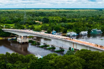 Fotógrafo captura comitiva de 1,5 mil animais no Pantanal de Mato Grosso do Sul