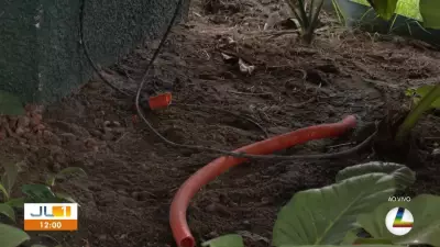 Furto de cabos de energia afeta obras da COP 30 na Nova Doca, em Belém