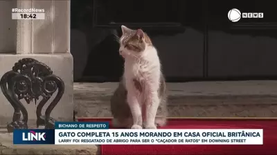 Gato Larry completa 15 anos como morador oficial da residência do primeiro-ministro britânico