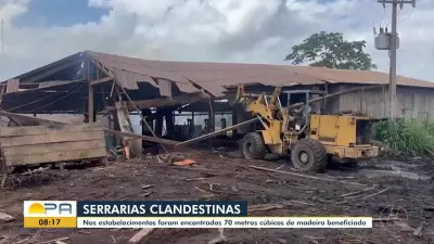 Ibama e Deca desmantelam serrarias clandestinas no sudoeste do Pará