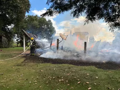 Incêndio destrói casa em Sinop após moradora atear fogo em caramujos africanos