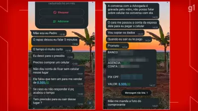 Mãe de piloto preso por agredir jovem em coma no DF é alvo de tentativas de golpes