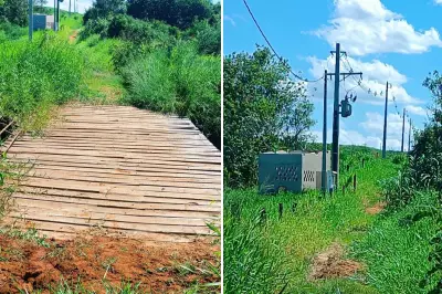 Mulher é multada em quase R$ 4 mil por desmatamento ilegal após monitoramento por satélite em Tupi Paulista